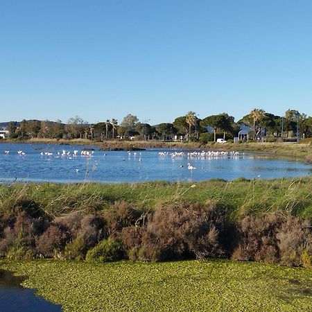 Le Surplage Hyères Esterno foto
