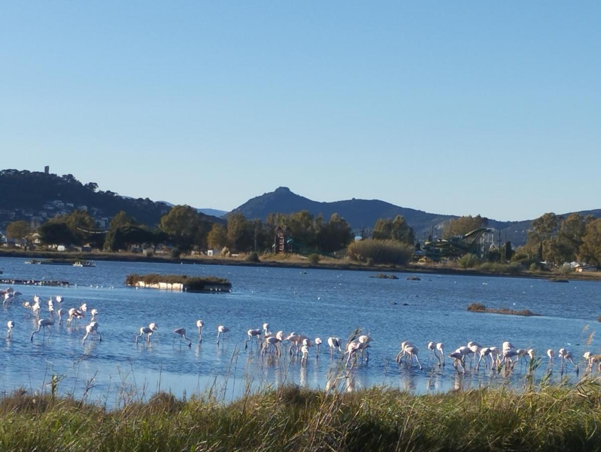 Le Surplage Hyères Esterno foto