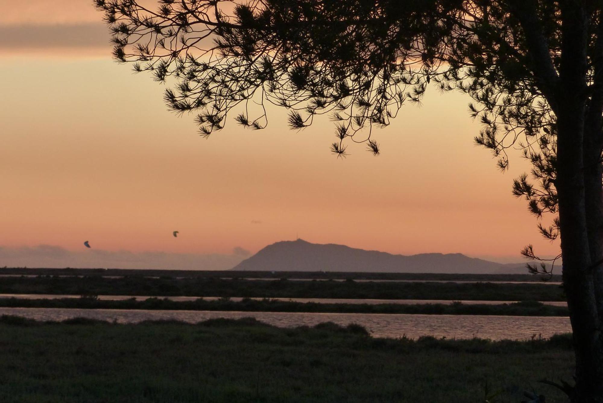 Le Surplage Hyères Esterno foto