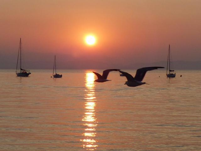 Le Surplage Hyères Esterno foto