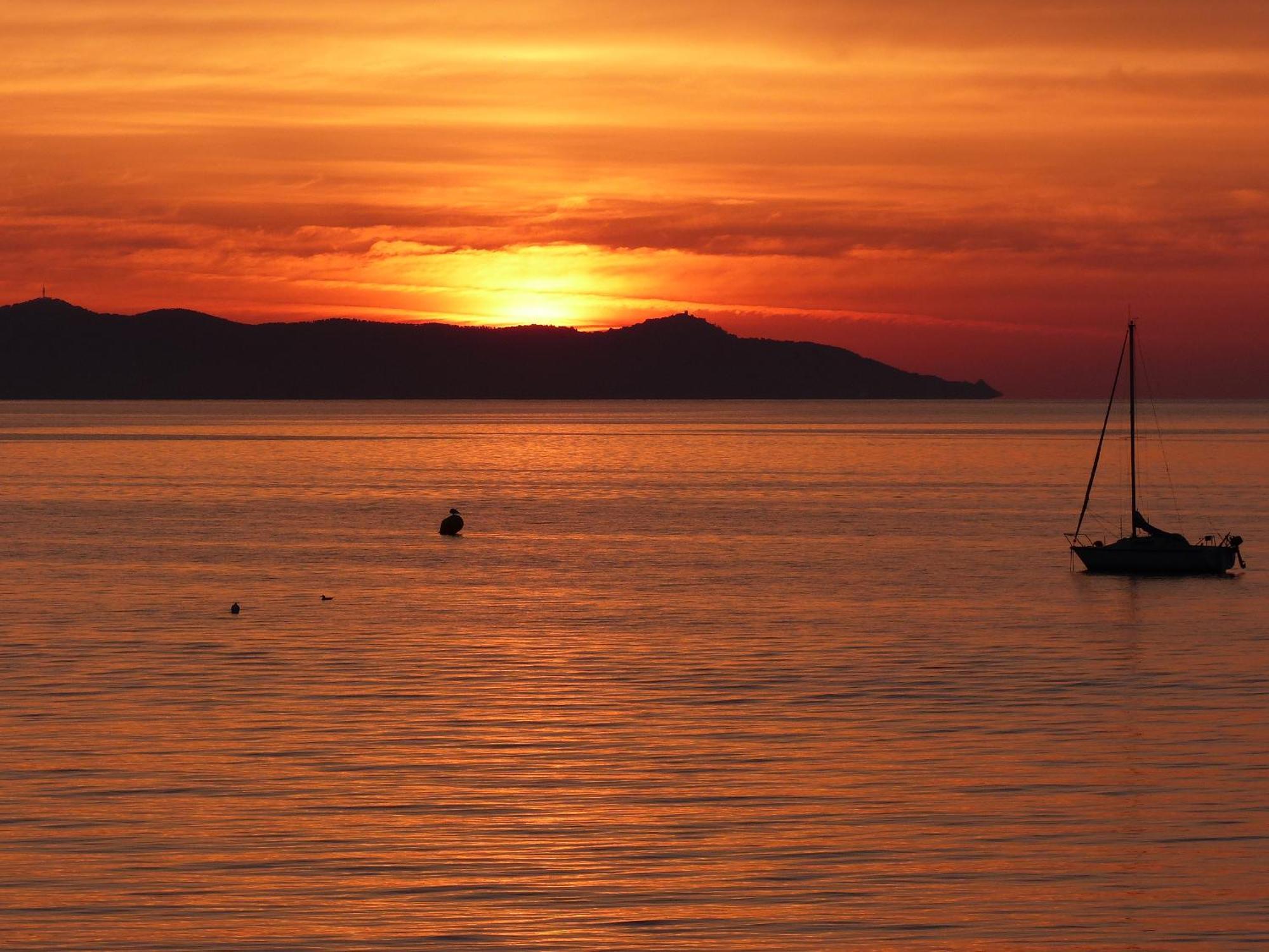 Le Surplage Hyères Esterno foto